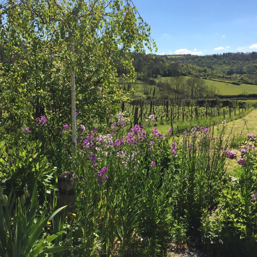 Vineyard Garden Studio 蒙圣让 外观 照片