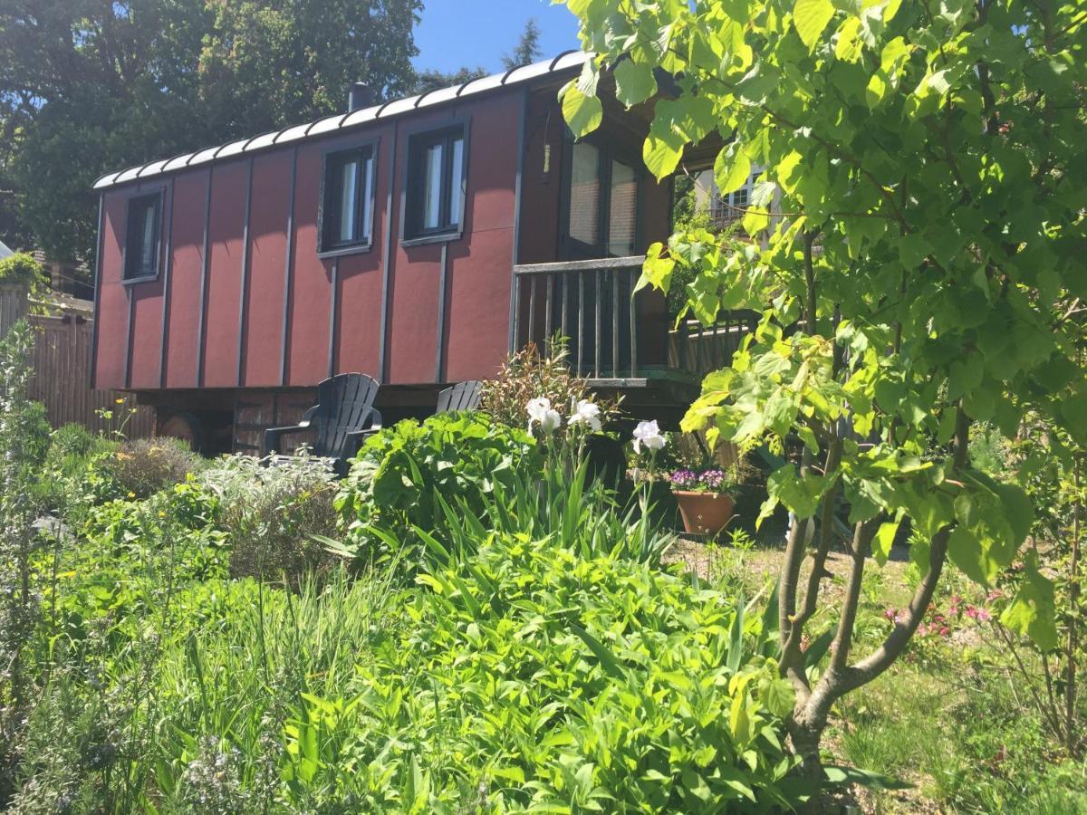 Vineyard Garden Studio 蒙圣让 外观 照片