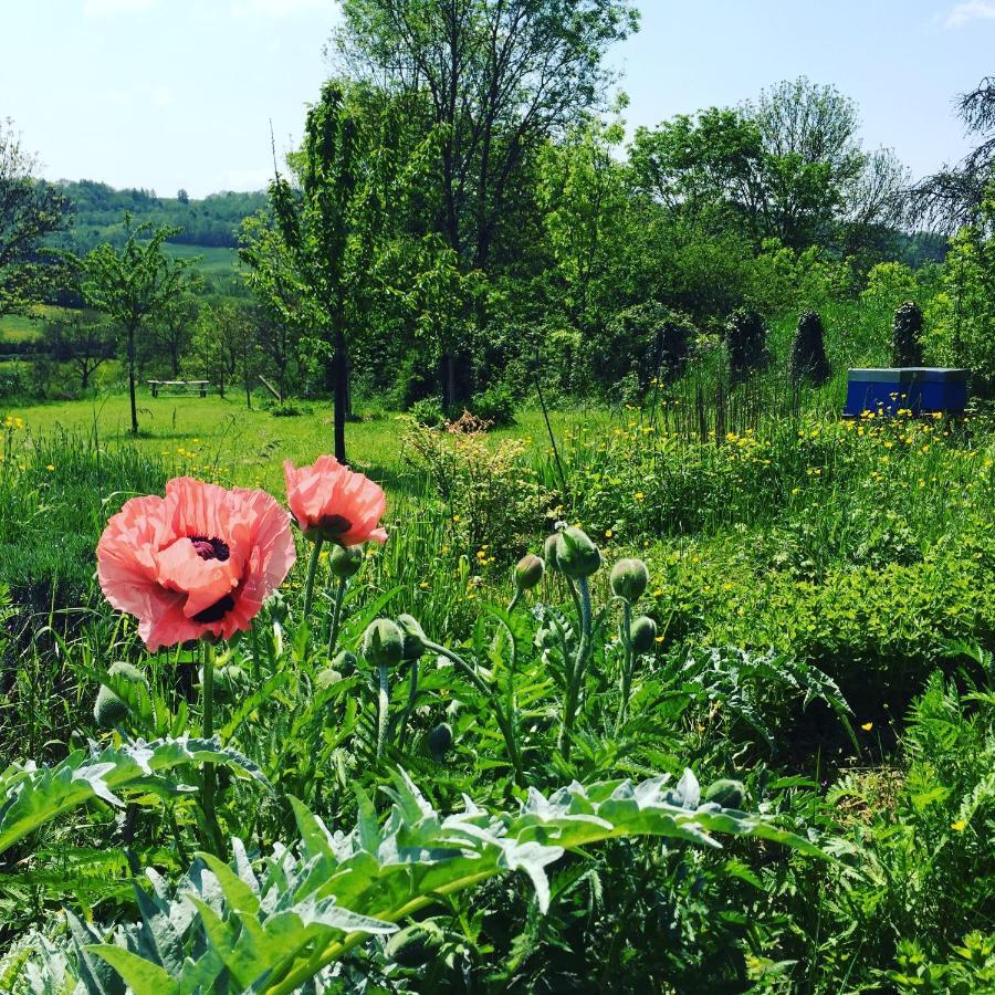 Vineyard Garden Studio 蒙圣让 外观 照片